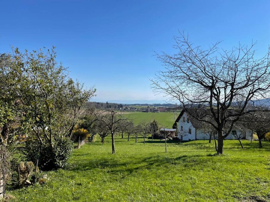 Horgenzell Zweistoeckiges Natur-Holzhaus Mit Berg- & Seesicht מראה חיצוני תמונה
