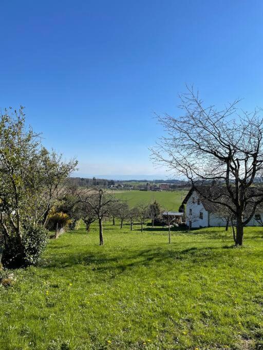 Horgenzell Zweistoeckiges Natur-Holzhaus Mit Berg- & Seesicht מראה חיצוני תמונה